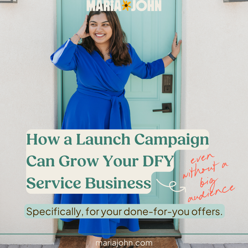Wondering if DFY services need a launch? Here’s how my campaign grew leads, boosted visibility, and made selling fun (even with a small audience).