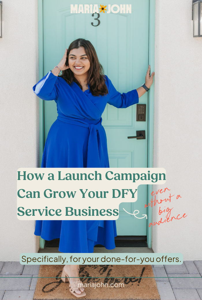 Wondering if DFY services need a launch? Here’s how my campaign grew leads, boosted visibility, and made selling fun (even with a small audience).